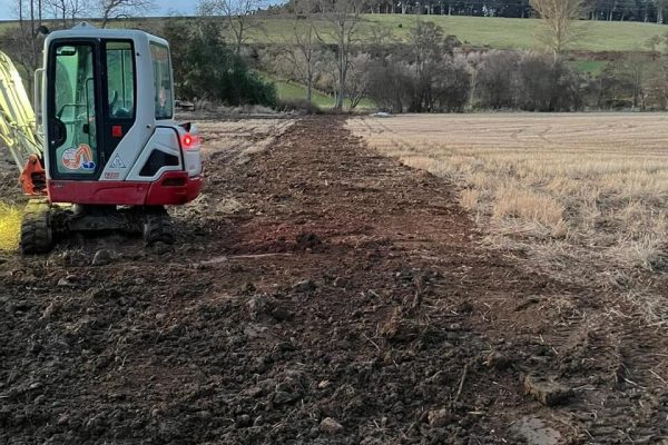 d5b017f0-a8b9-4d85-9ea0-36b652c32c34